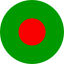 Bangladesh circle flag icon